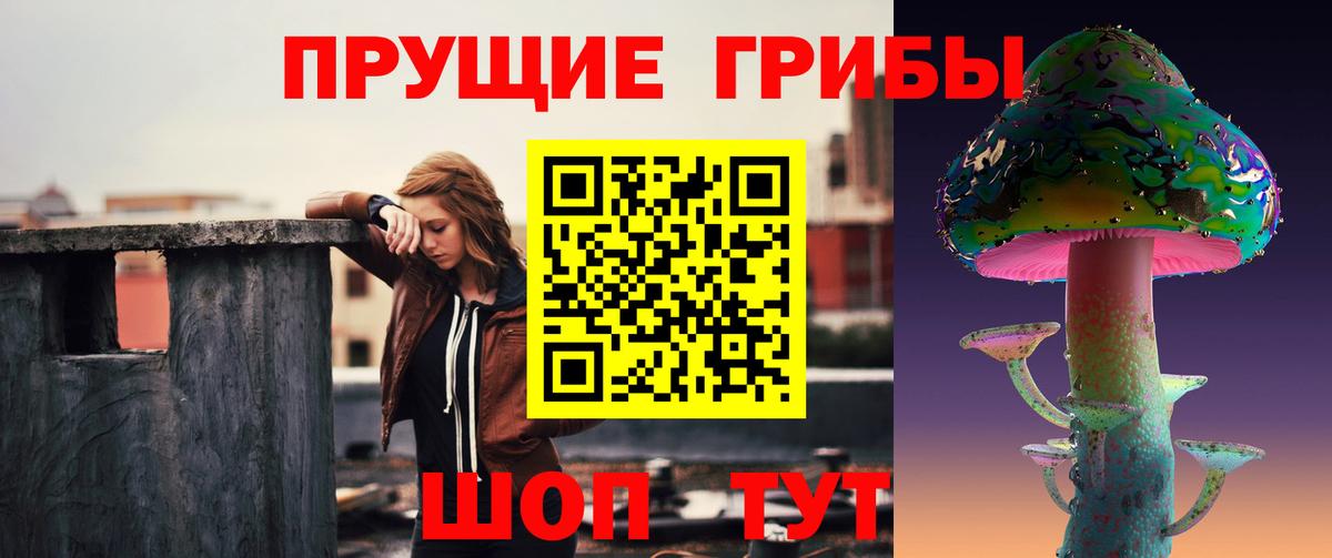 Галлюциногенные грибы Psilocybine cubensis Наро-Фоминск